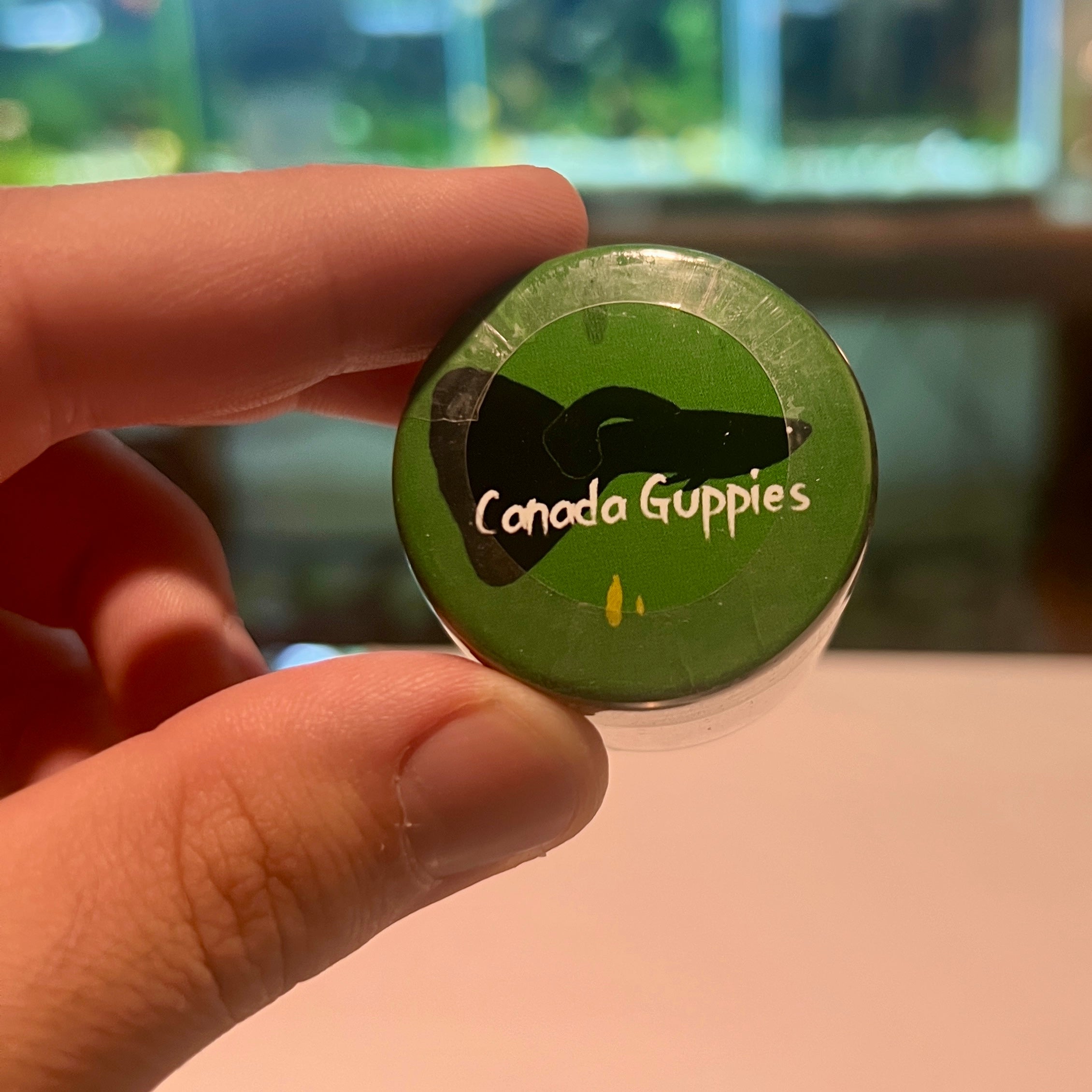 Green Beans Shrimp Food (Best Shrimp Food In The World) - Canada Guppies