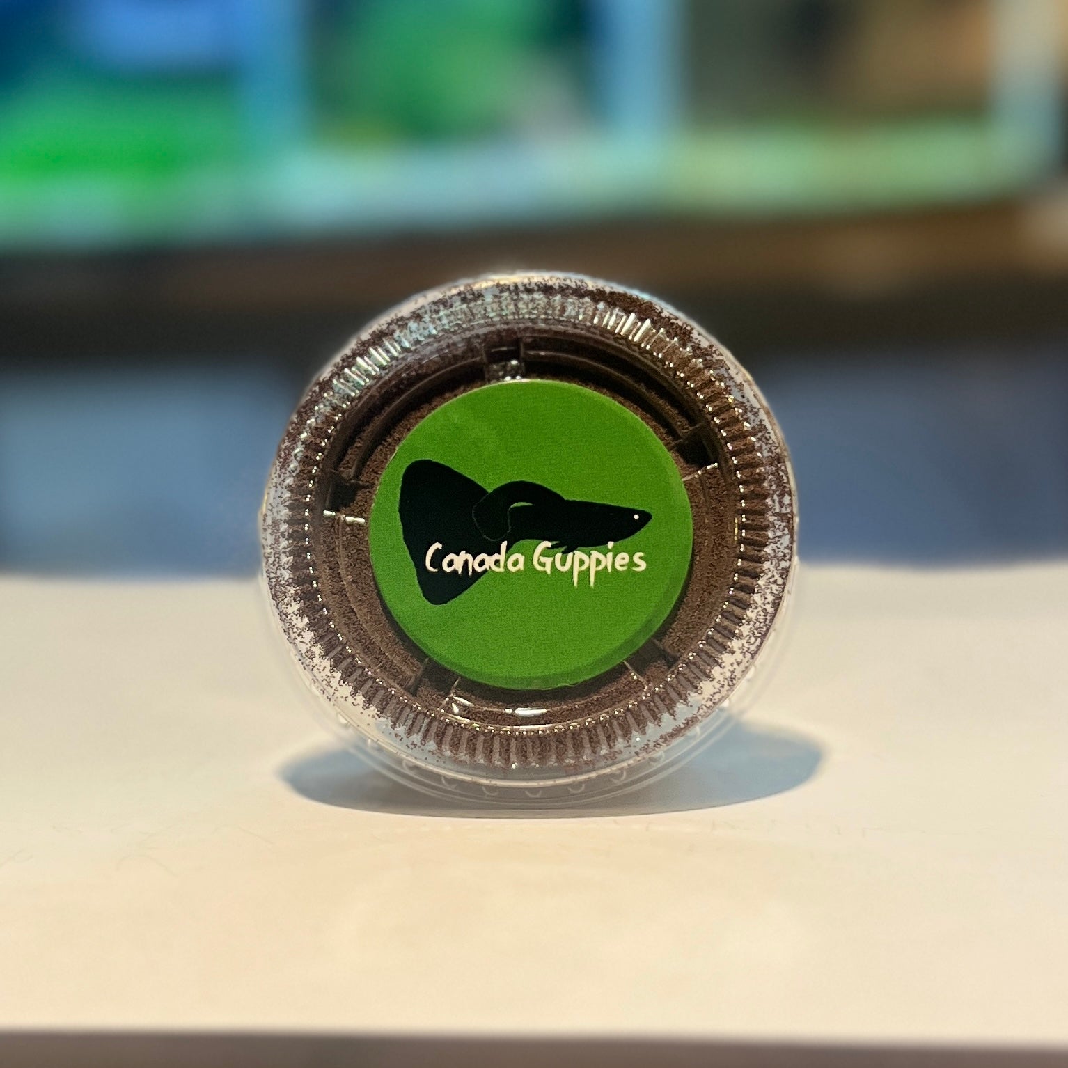 Live Brine Shrimp Eggs (99% hatch) - Canada Guppies