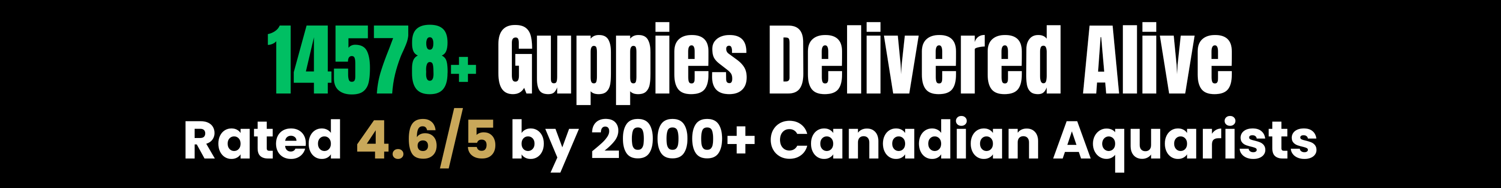 WORLD_FAMOUS_GUPPIES