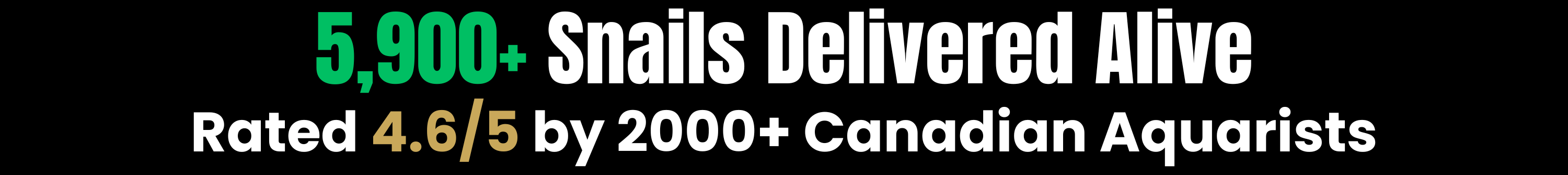 WORLD_FAMOUS_GUPPIES