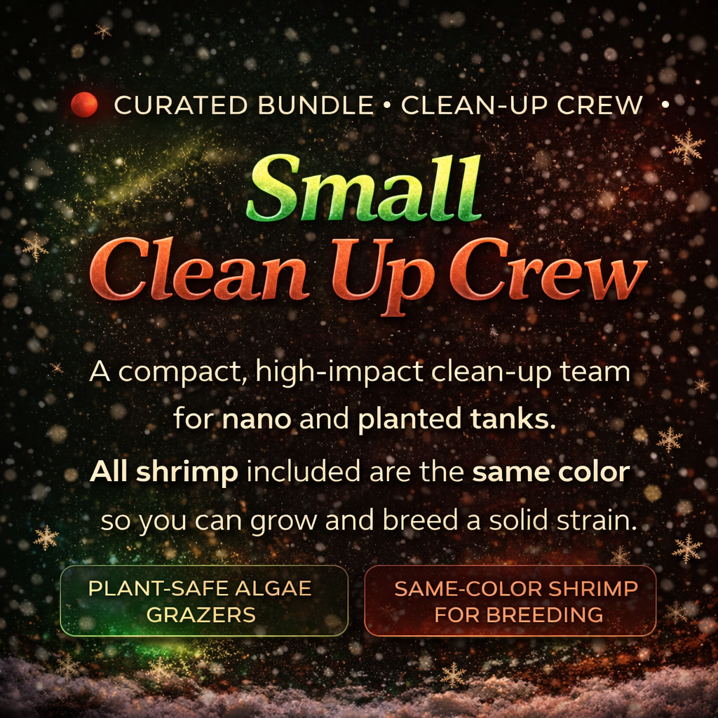 Value Small Clean Up Crew