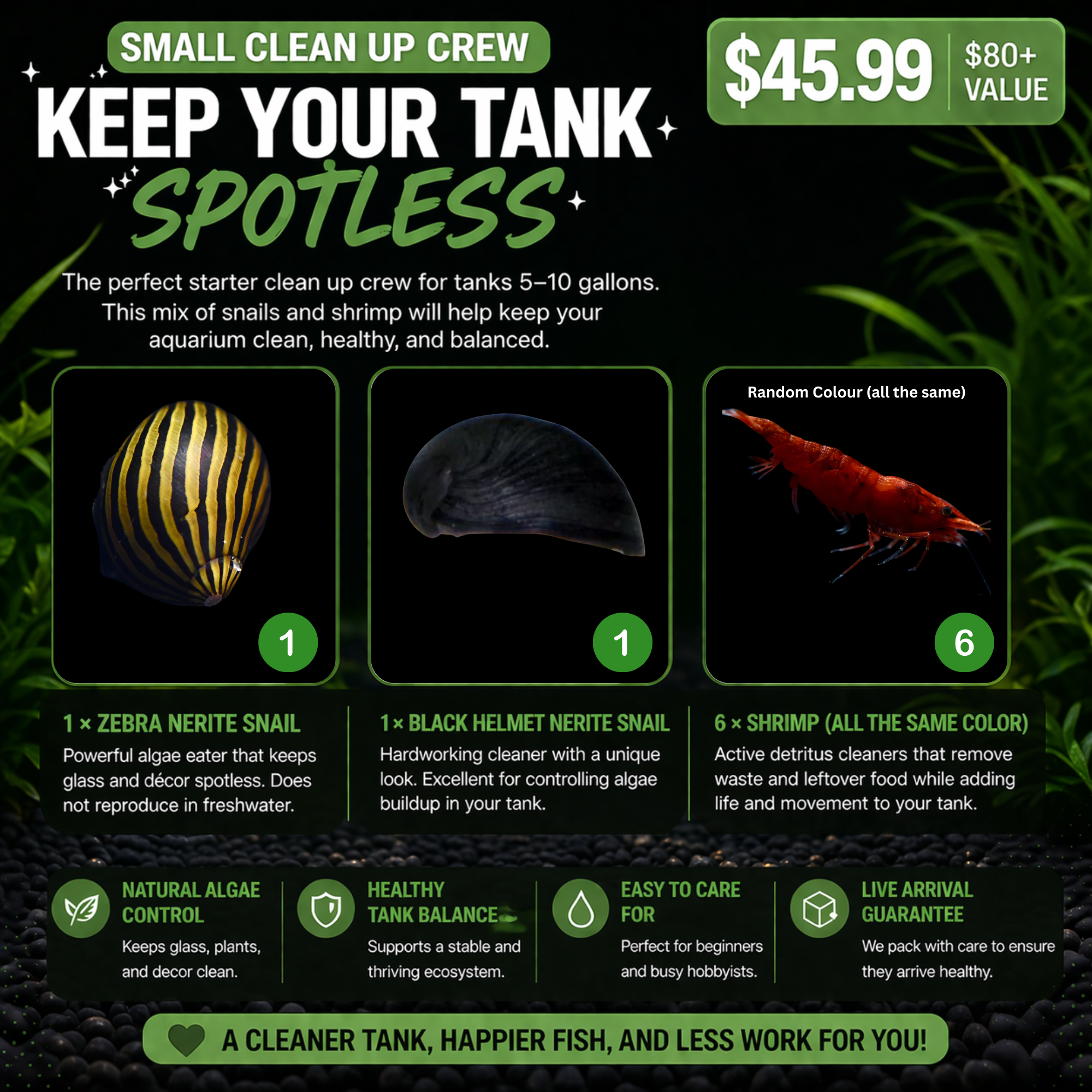 $80+ Value Small Clean Up Crew