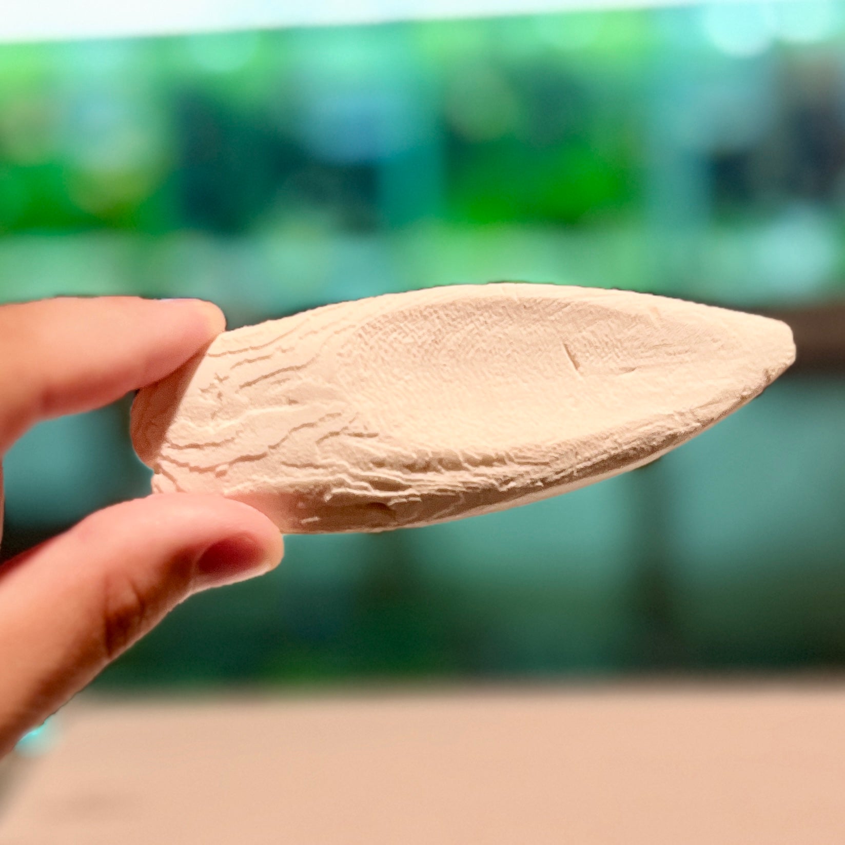 CuttleBone Snail Shell Strengthener + Mineral Boost - Canada Guppies