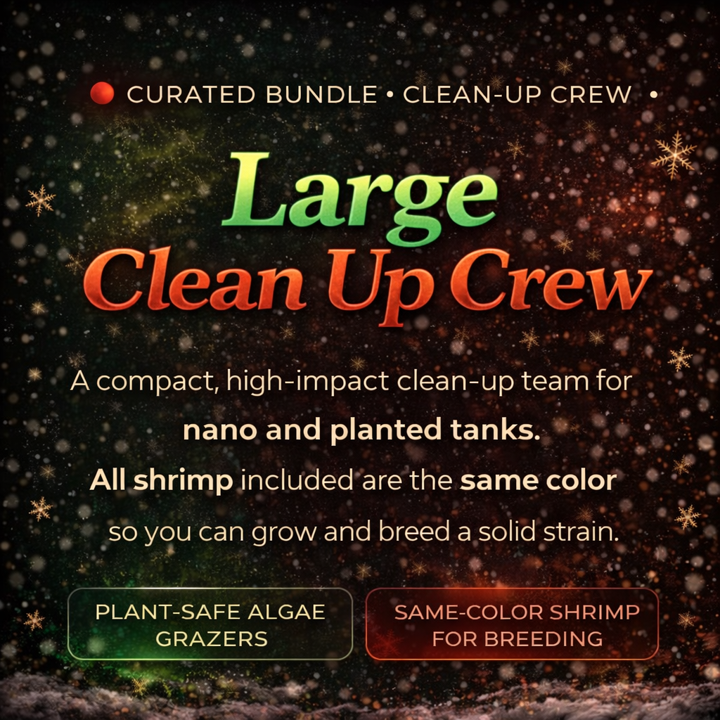 Value Large Clean Up Crew