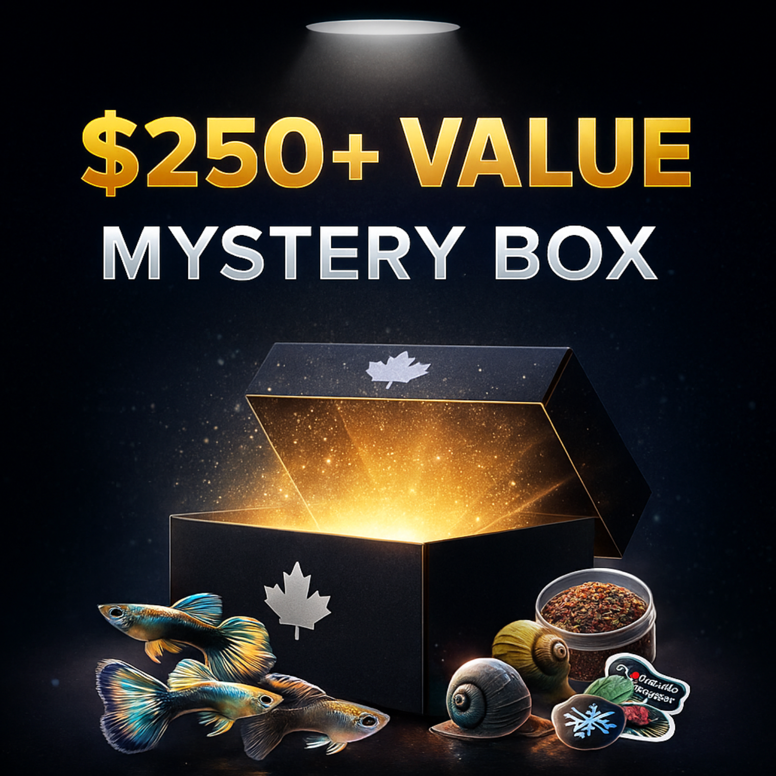 Gold Mystery Box $250 Value