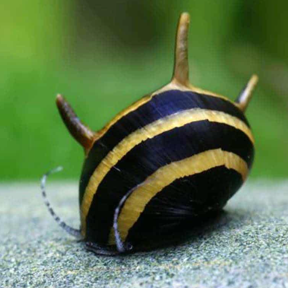 Screenshot2025-12-13at8.25.59PM