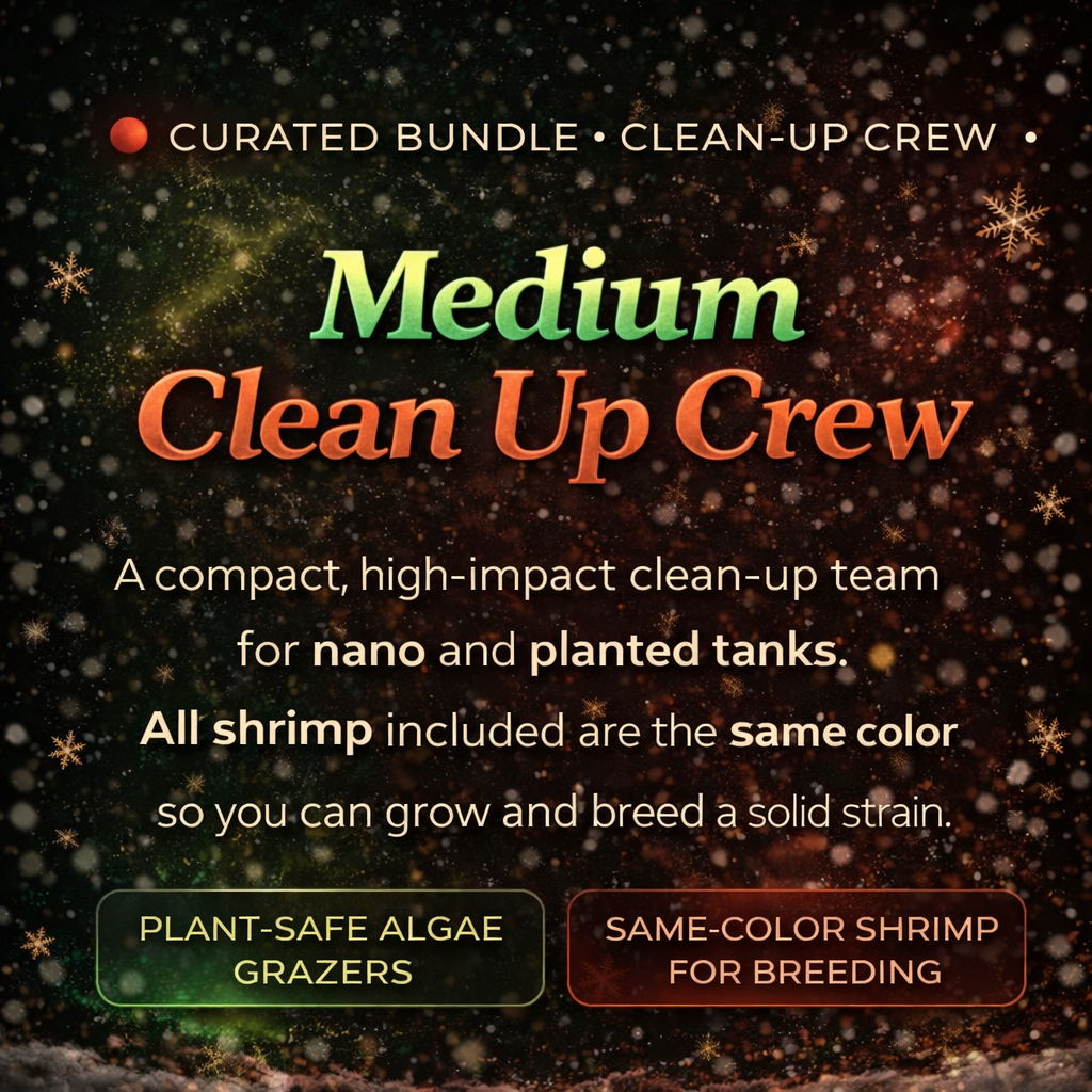 Value Medium Clean Up Crew