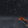 Load and play video in Gallery viewer, Koi Tuxedo Guppies
