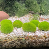 Load image into Gallery viewer, Artificial Marimo Moss Ball Weighted - Canada Guppies