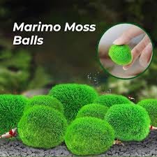 Artificial Marimo Moss Ball Weighted - Canada Guppies