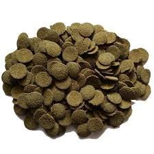 Canada Guppies Algae Wafers - Canada Guppies