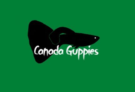 Canada Guppies Gift Card - Canada Guppies